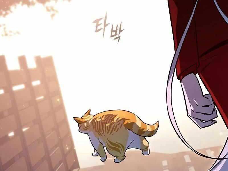 Hoá Thân Thành Mèo Chap 325 - Next Chap 326