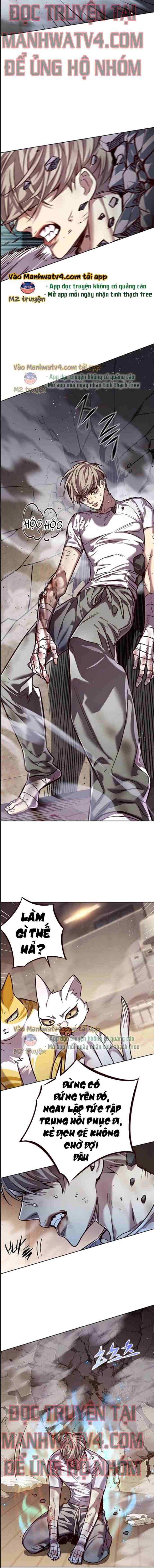 Hoá Thân Thành Mèo Chap 328 - Next Chap 329