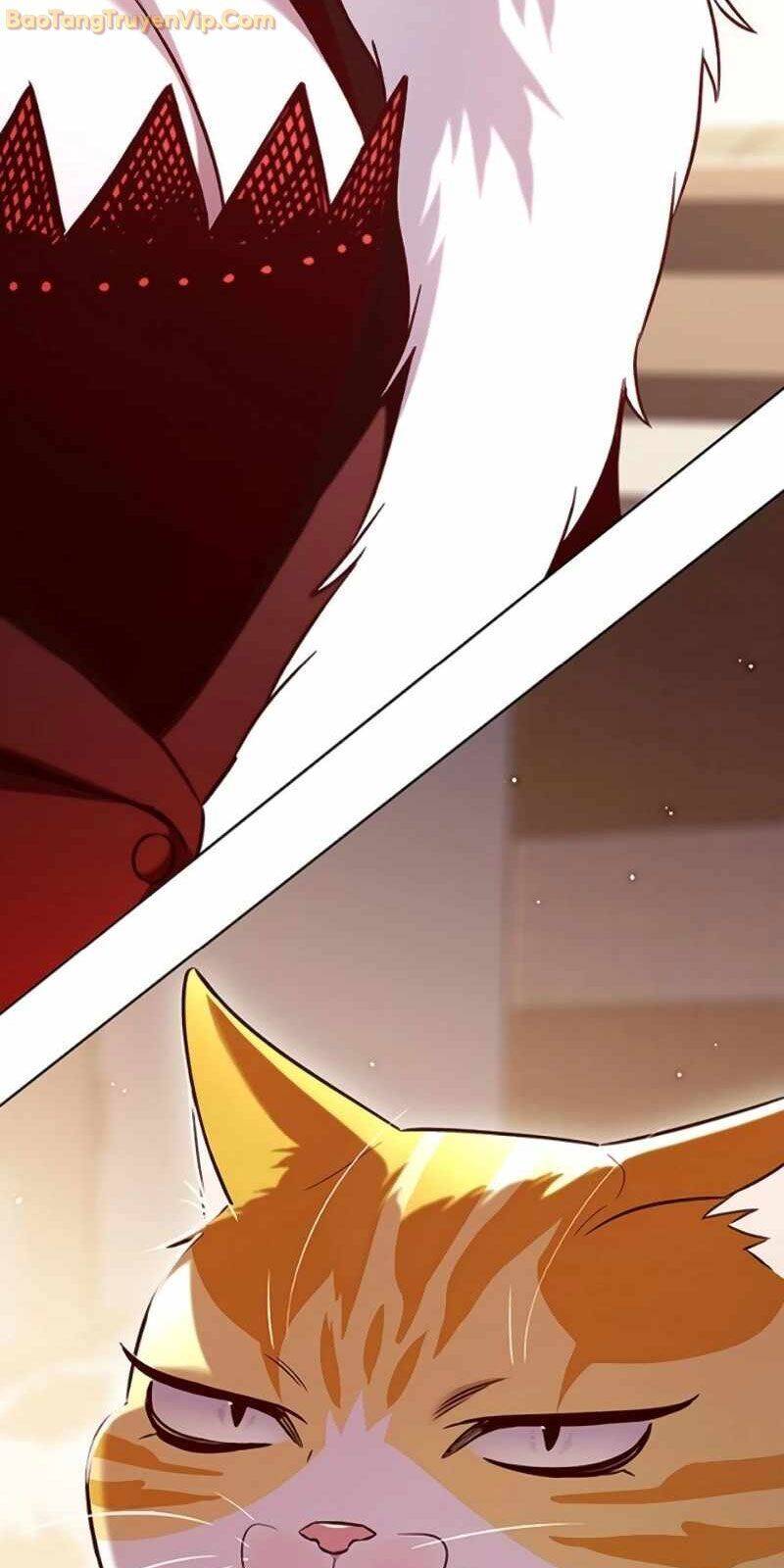 Hoá Thân Thành Mèo Chap 329 - Next Chap 330