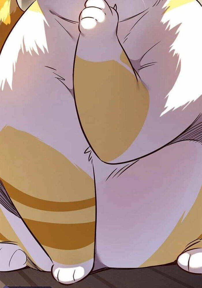 Hoá Thân Thành Mèo Chap 330 - Next Chap 331