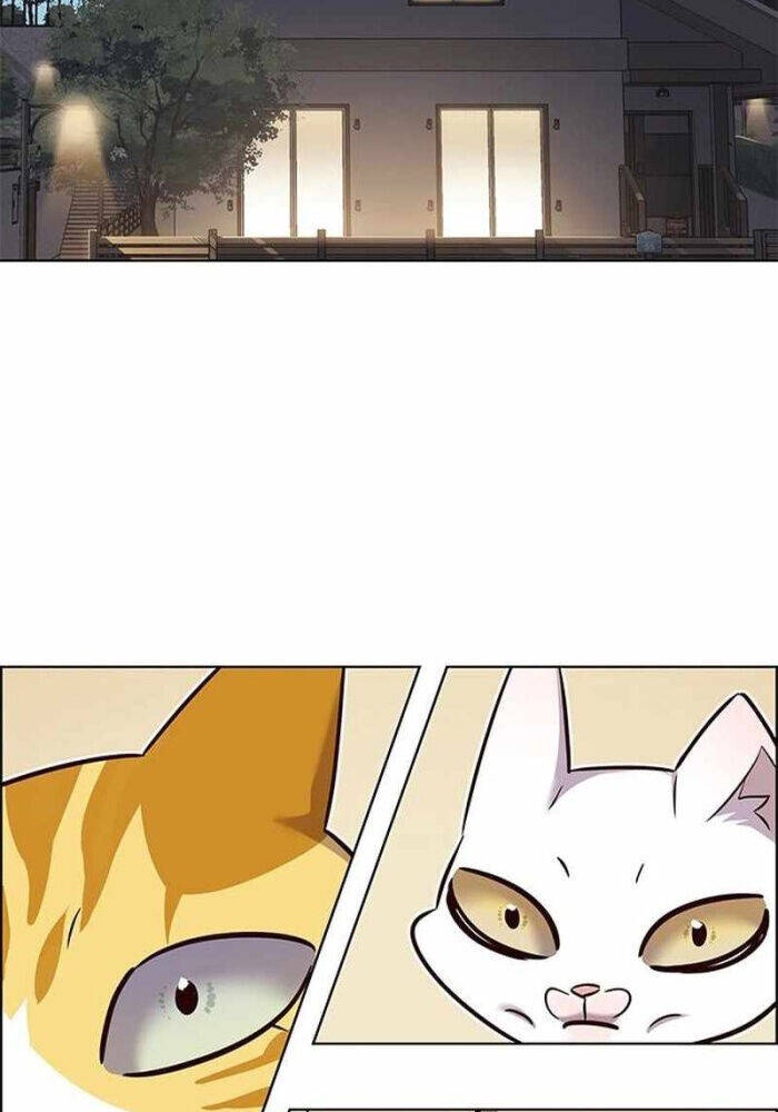 Hoá Thân Thành Mèo Chap 330 - Next Chap 331