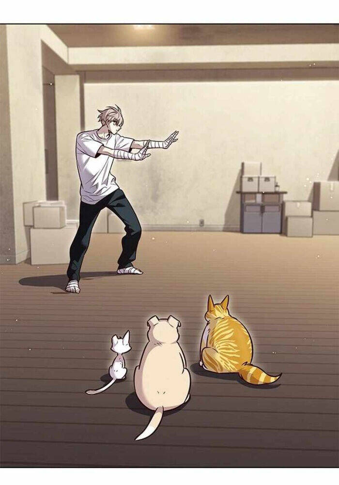 Hoá Thân Thành Mèo Chap 330 - Next Chap 331