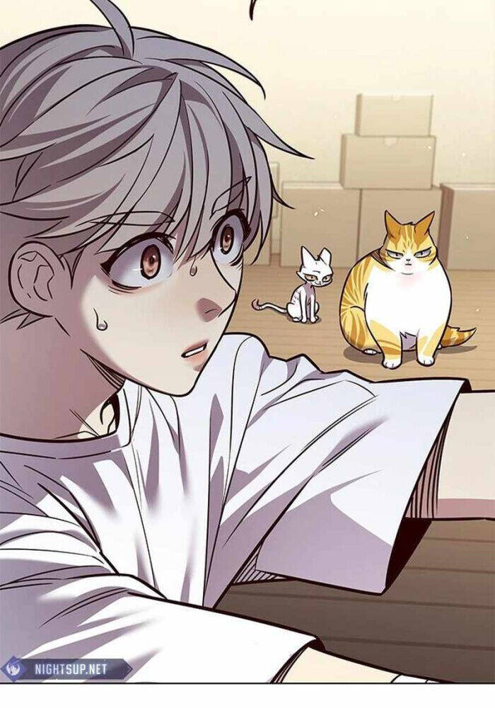 Hoá Thân Thành Mèo Chap 330 - Next Chap 331