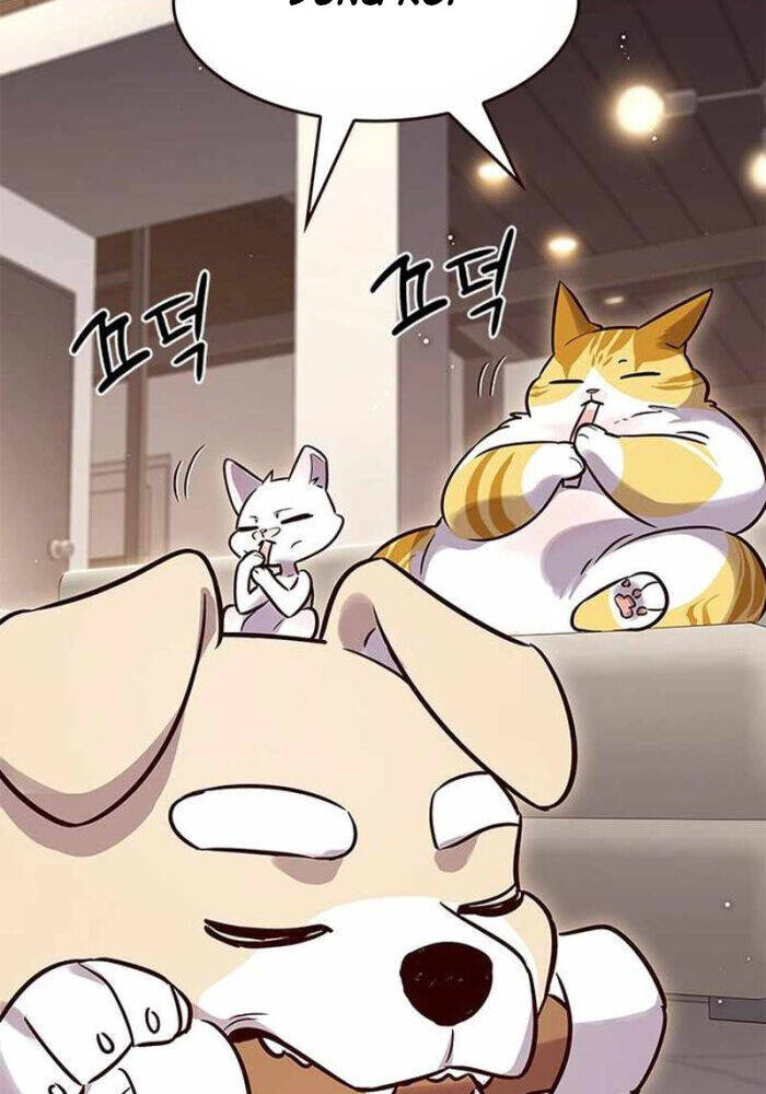 Hoá Thân Thành Mèo Chap 330 - Next Chap 331