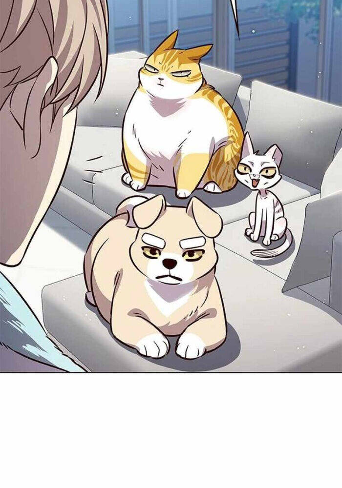 Hoá Thân Thành Mèo Chap 330 - Next Chap 331