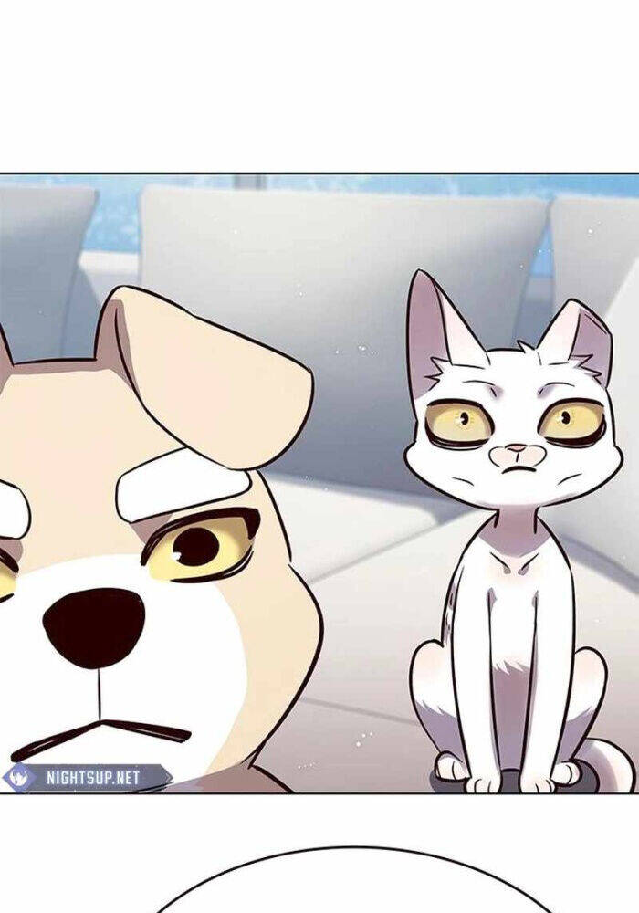 Hoá Thân Thành Mèo Chap 330 - Next Chap 331