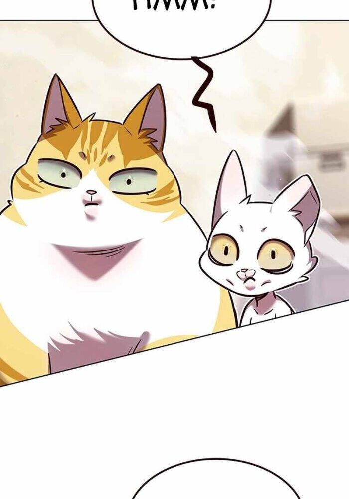 Hoá Thân Thành Mèo Chap 330 - Next Chap 331