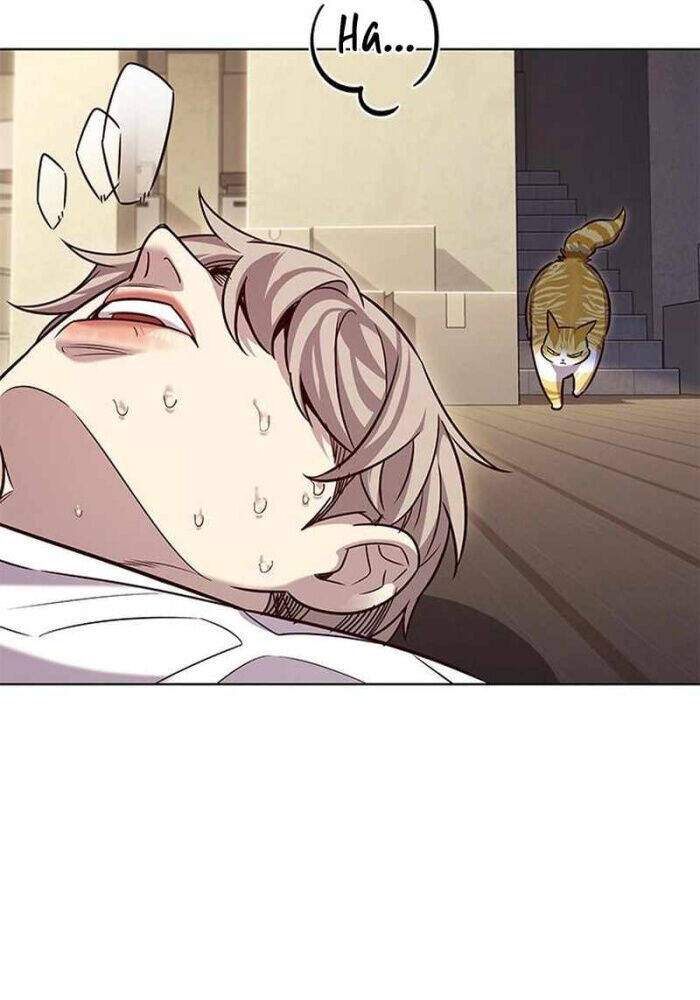 Hoá Thân Thành Mèo Chap 330 - Next Chap 331