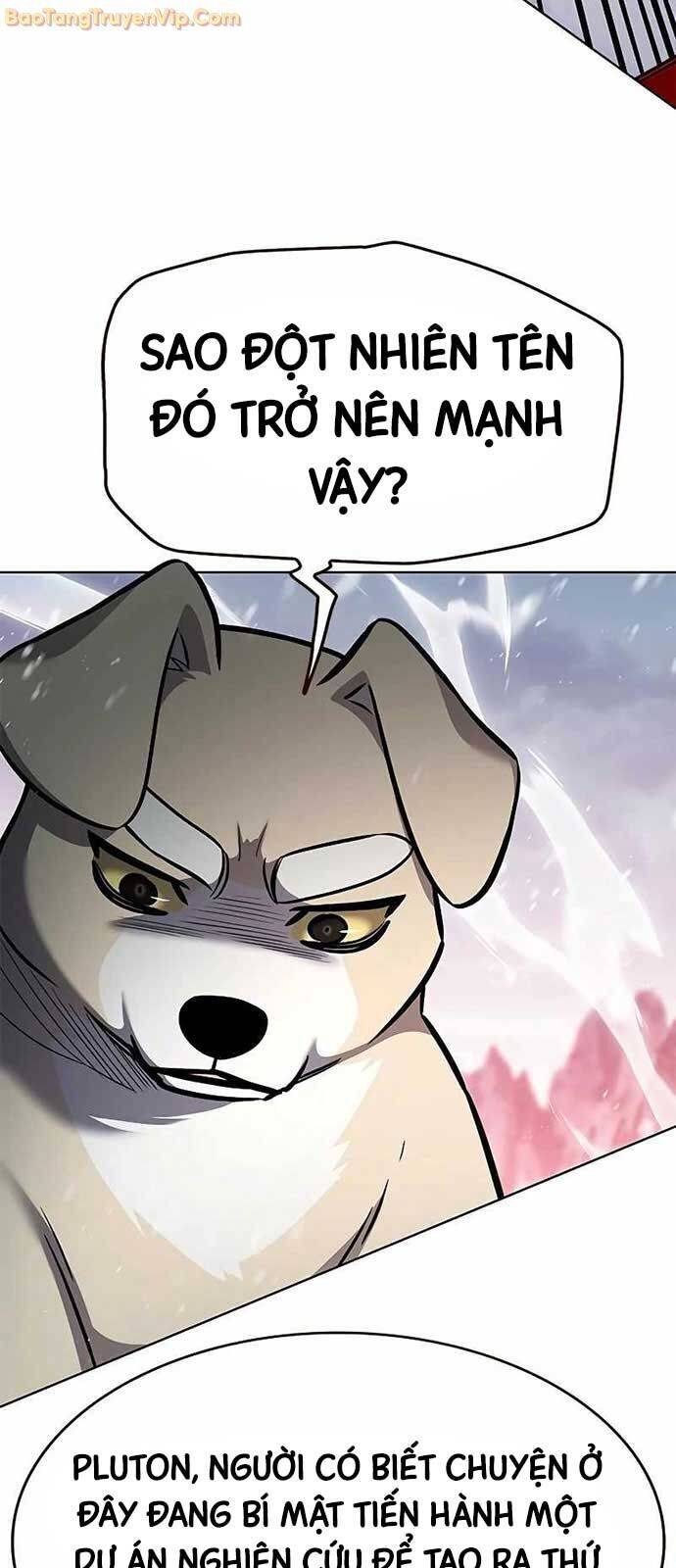 Hoá Thân Thành Mèo Chap 334 - Next Chap 335