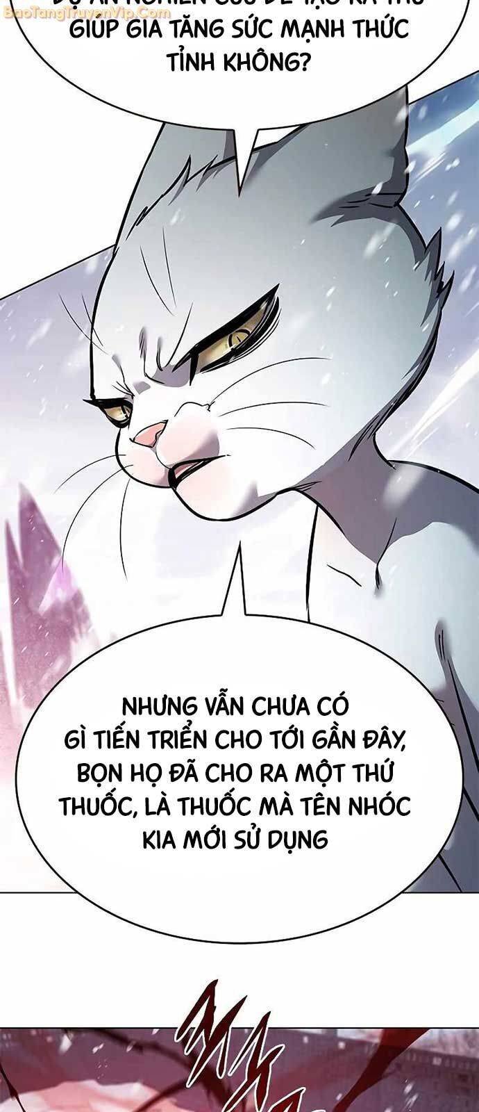 Hoá Thân Thành Mèo Chap 334 - Next Chap 335