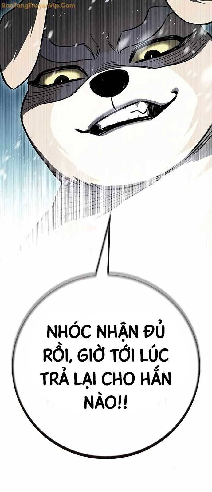 Hoá Thân Thành Mèo Chap 334 - Next Chap 335