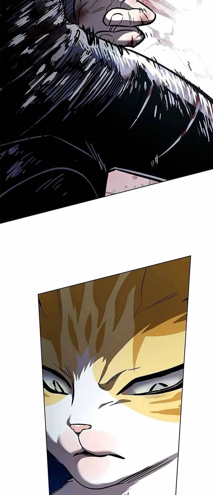 Hoá Thân Thành Mèo Chap 335 - Next Chap 336