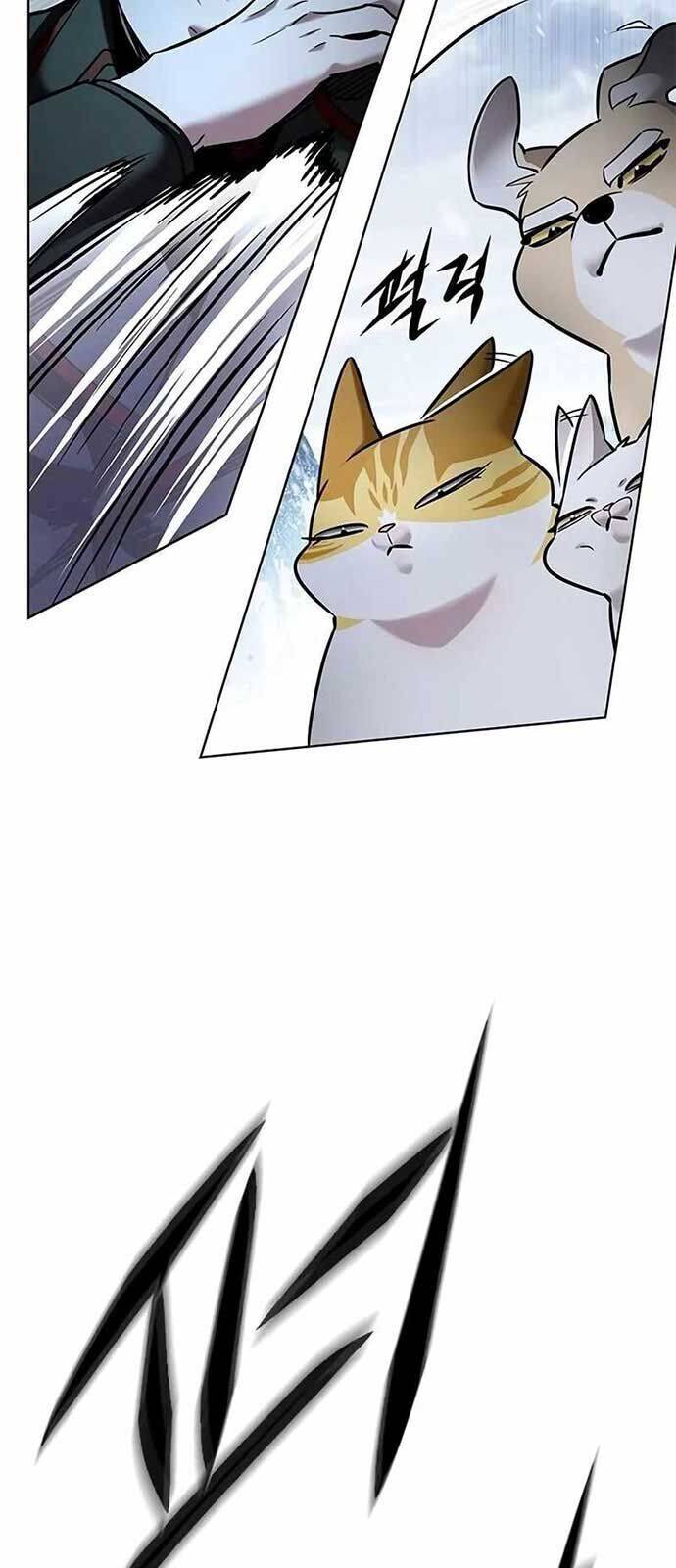 Hoá Thân Thành Mèo Chap 335 - Next Chap 336