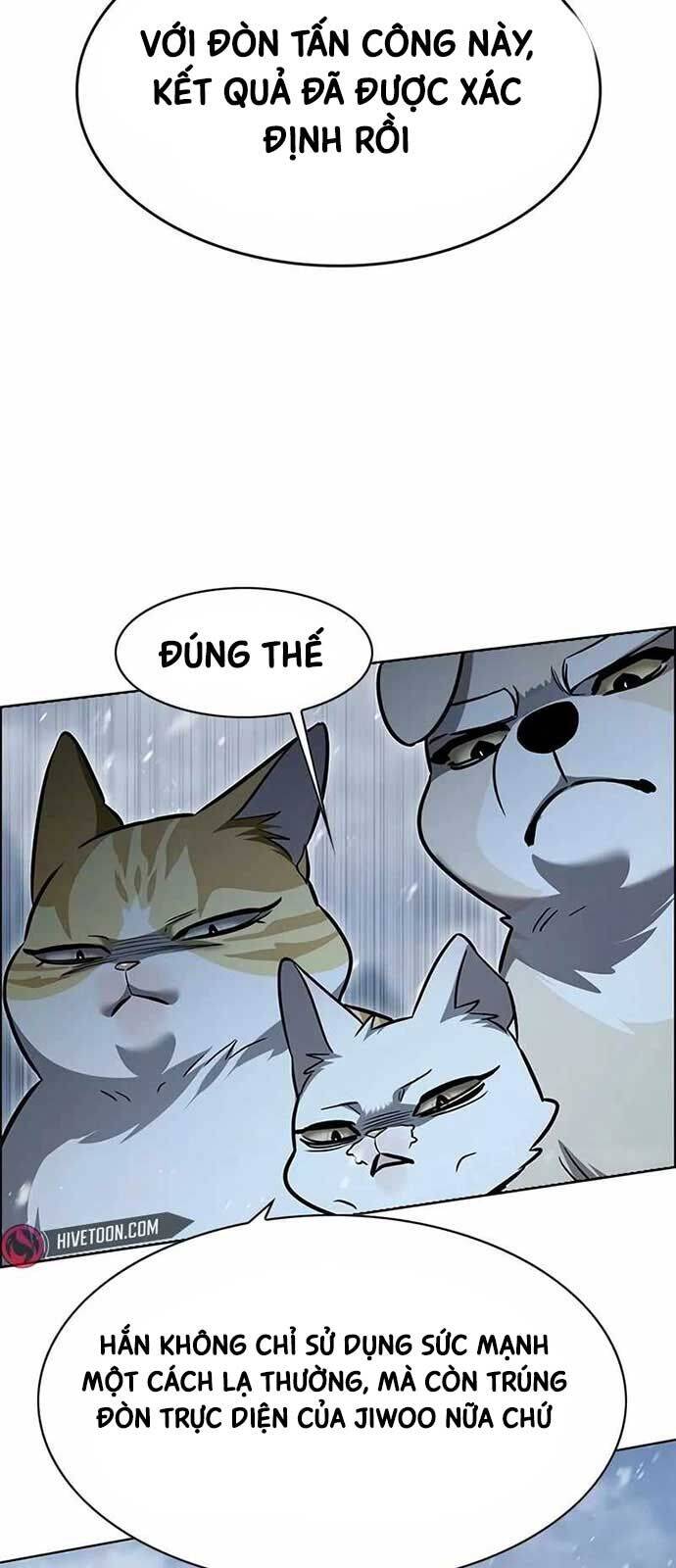 Hoá Thân Thành Mèo Chap 335 - Next Chap 336