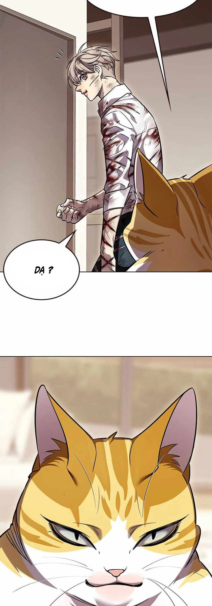 Hoá Thân Thành Mèo Chap 336 - Next Chap 337