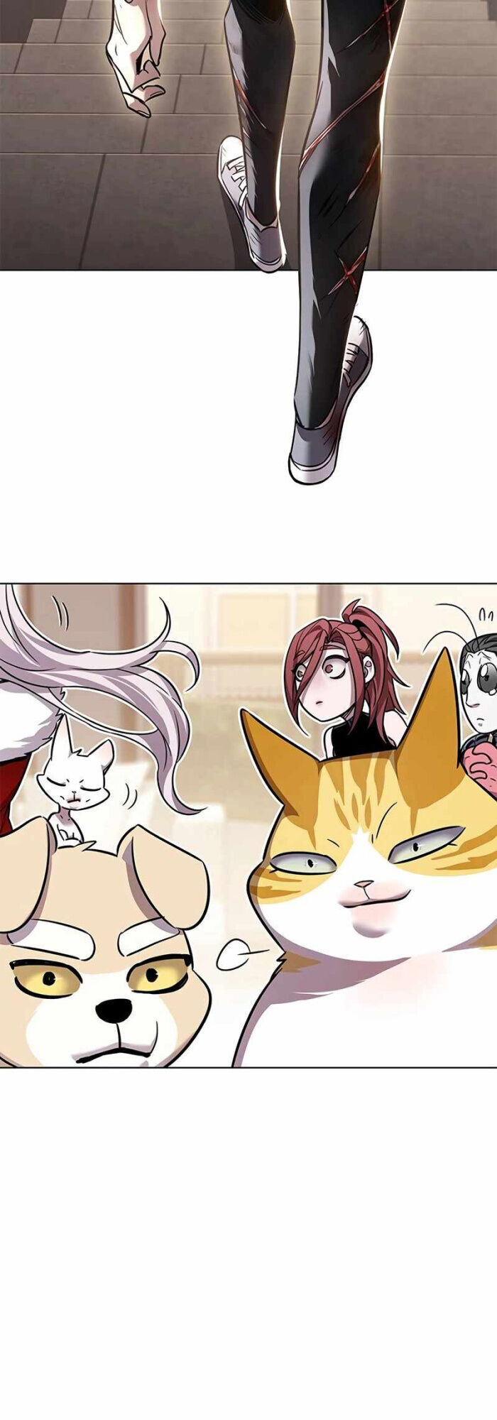 Hoá Thân Thành Mèo Chap 336 - Next Chap 337