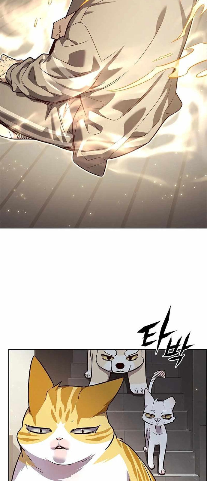 Hoá Thân Thành Mèo Chap 337 - Next Chap 338