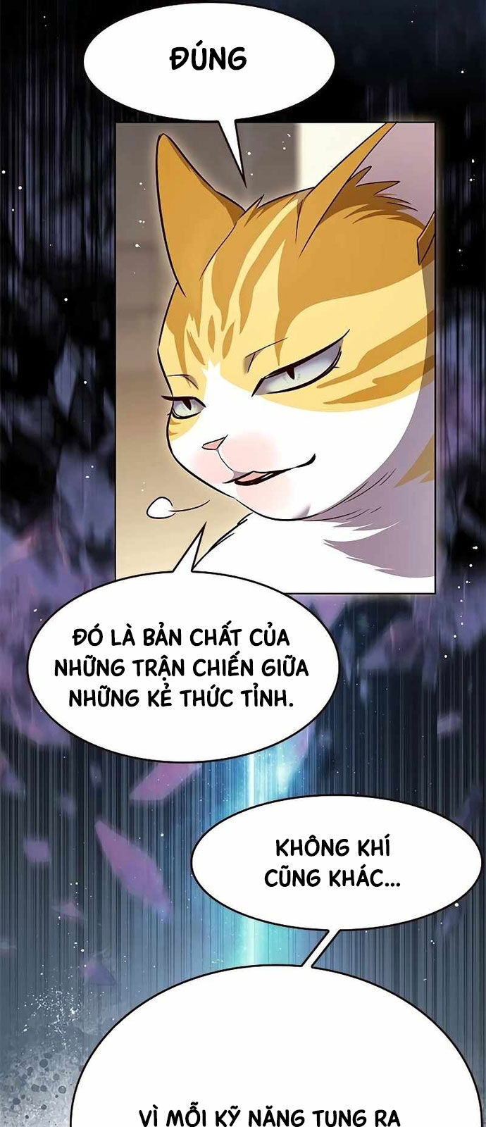 Hoá Thân Thành Mèo Chap 337 - Next Chap 338
