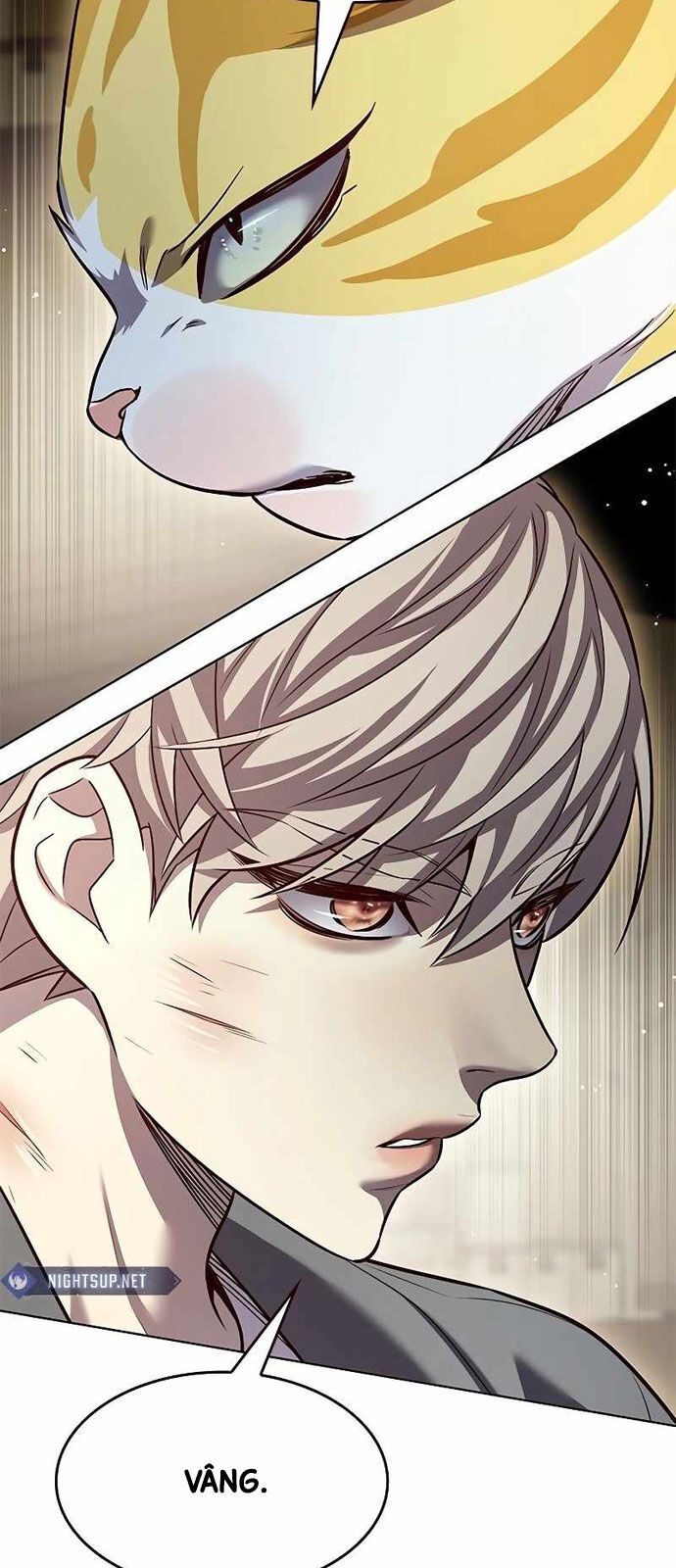 Hoá Thân Thành Mèo Chap 337 - Next Chap 338