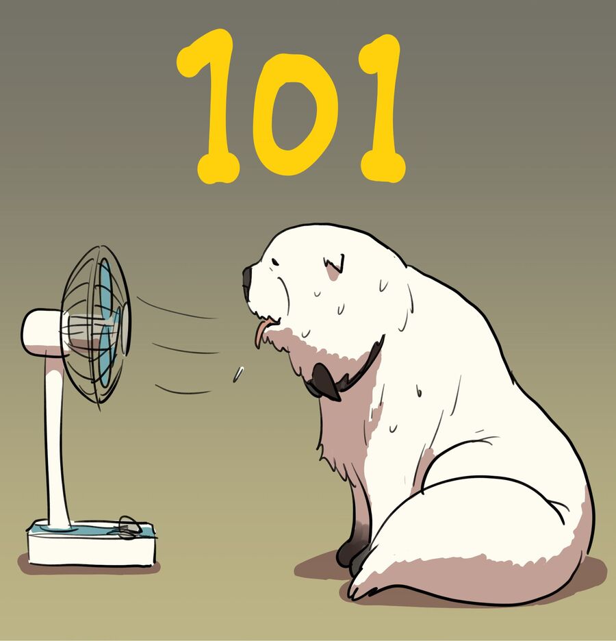 Gia Đình Điệp Viên Chap 101 - Next Chap 102