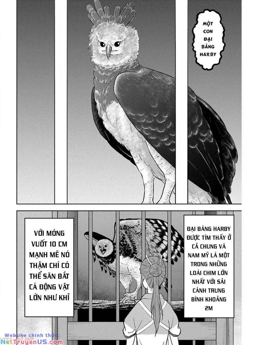 Sengoku Komachi Kurou Tan! Chap 38 - Next Chap 39