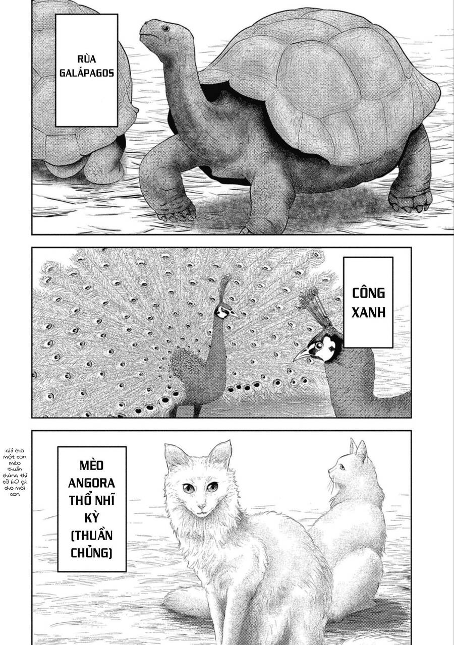Sengoku Komachi Kurou Tan! Chap 43 - Next Chap 44