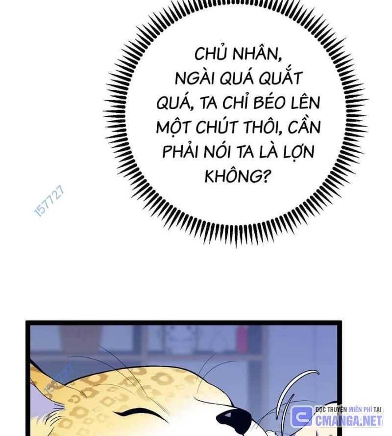 Thiên Phú Của Ngươi, Giờ Là Của Ta Chap 85 - Next Chap 86