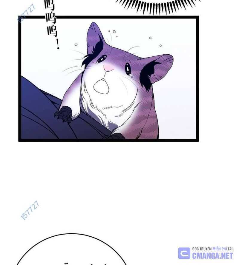 Thiên Phú Của Ngươi, Giờ Là Của Ta Chap 85 - Next Chap 86