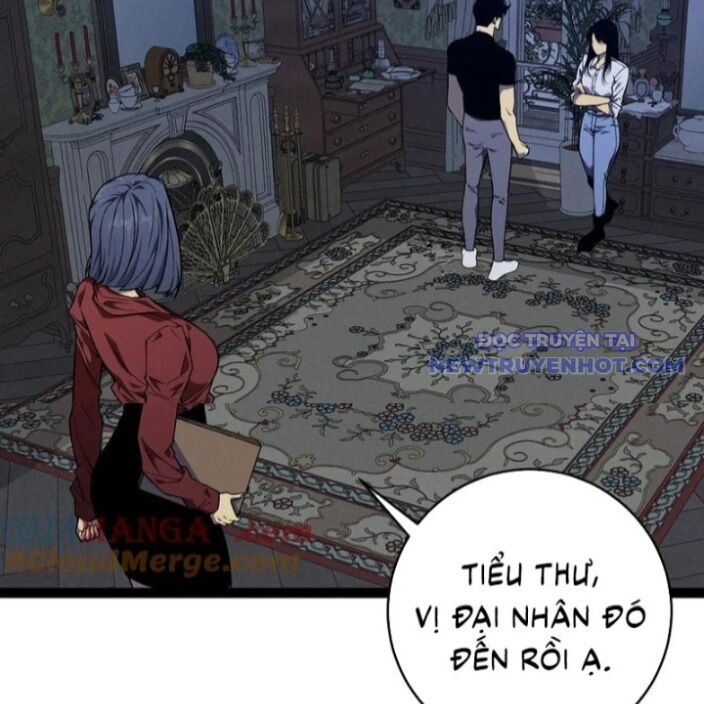Thiên Phú Của Ngươi, Giờ Là Của Ta Chap 96 - Next Chap 97