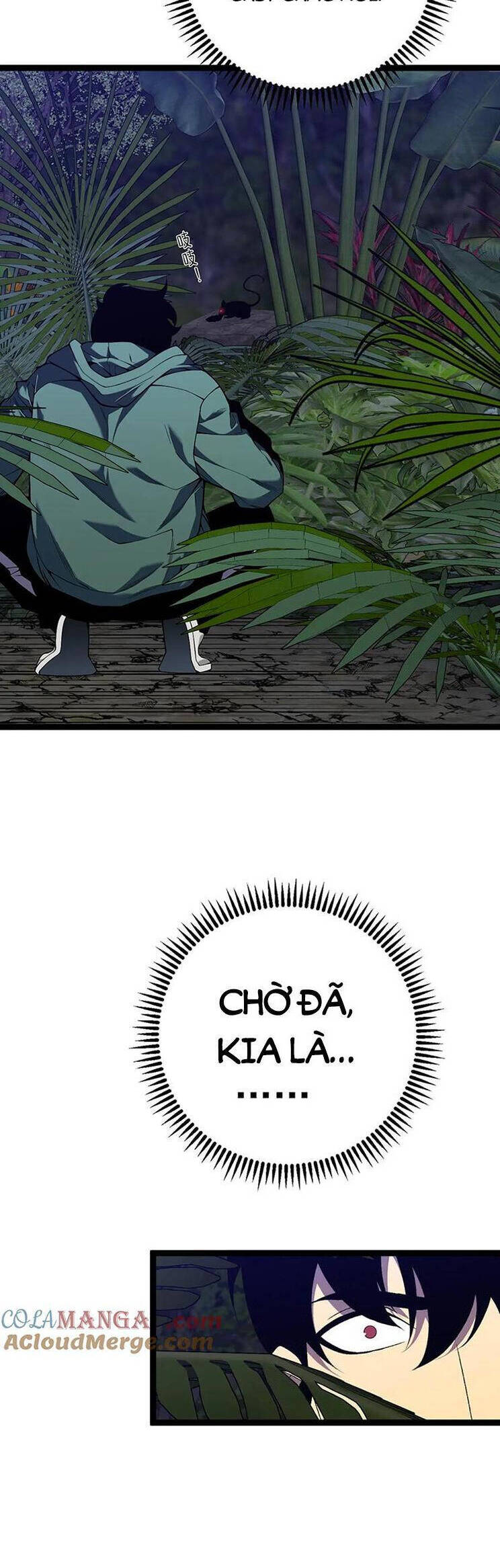 Thiên Phú Của Ngươi, Giờ Là Của Ta Chap 75 - Next Chap 76