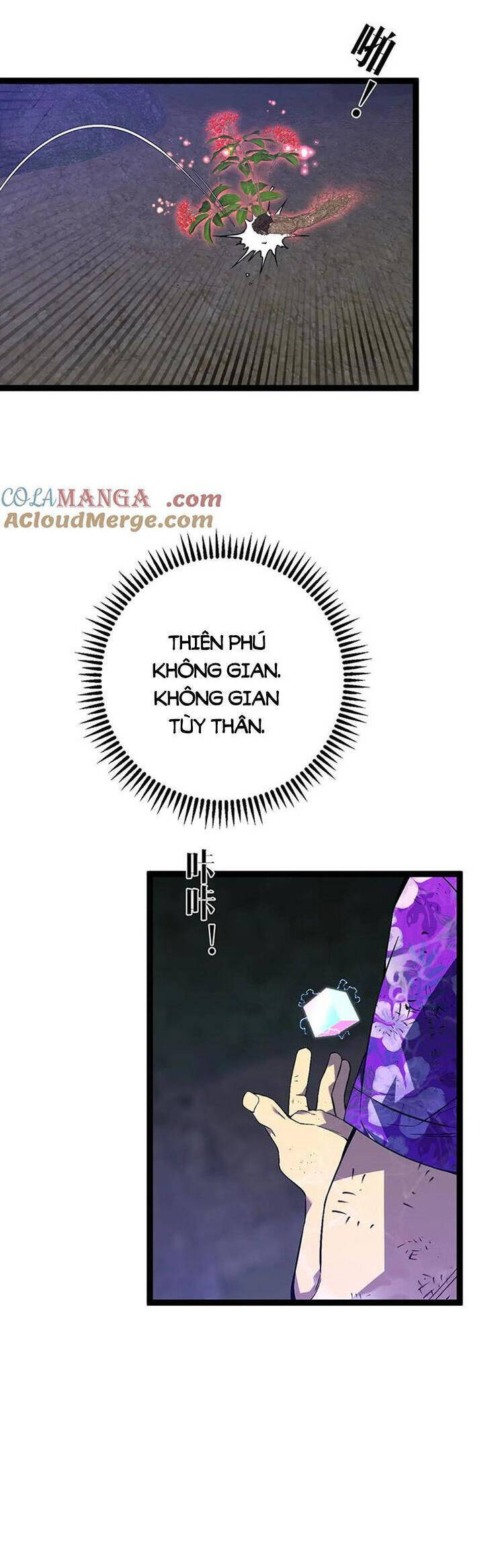 Thiên Phú Của Ngươi, Giờ Là Của Ta Chap 75 - Next Chap 76