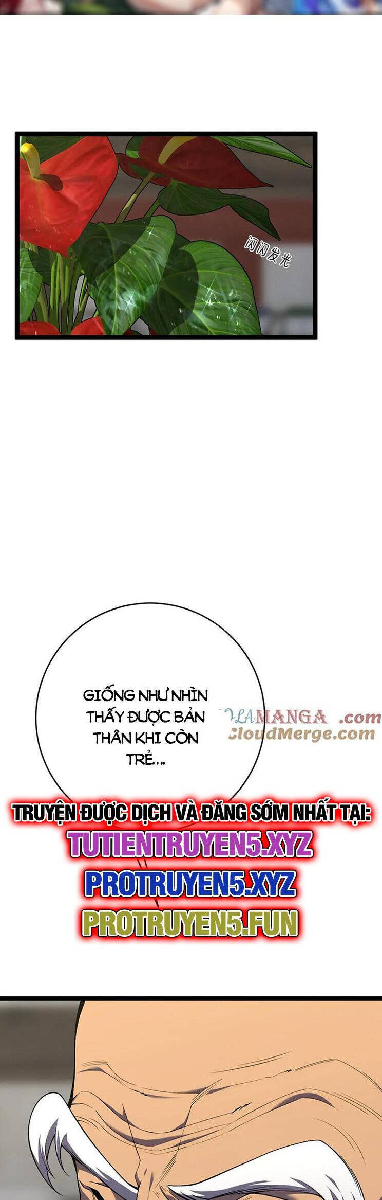 Thiên Phú Của Ngươi, Giờ Là Của Ta Chap 75 - Next Chap 76