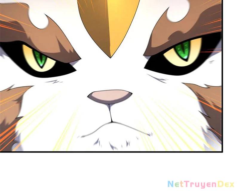 Thần Sủng Tiến Hóa Chap 372 - Next Chap 373