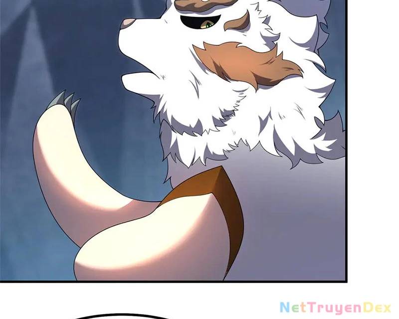 Thần Sủng Tiến Hóa Chap 372 - Next Chap 373
