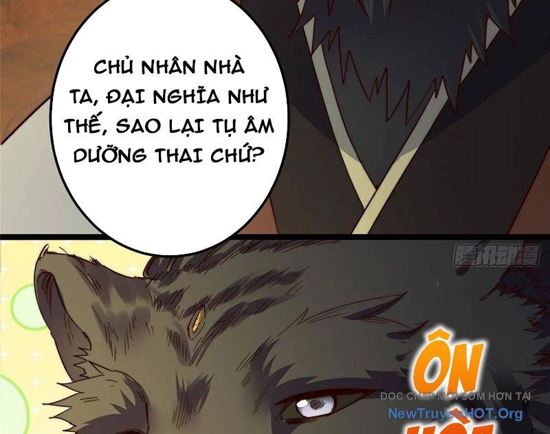 Chưởng Môn Khiêm Tốn Chút Chap 523 - Next Chap 524