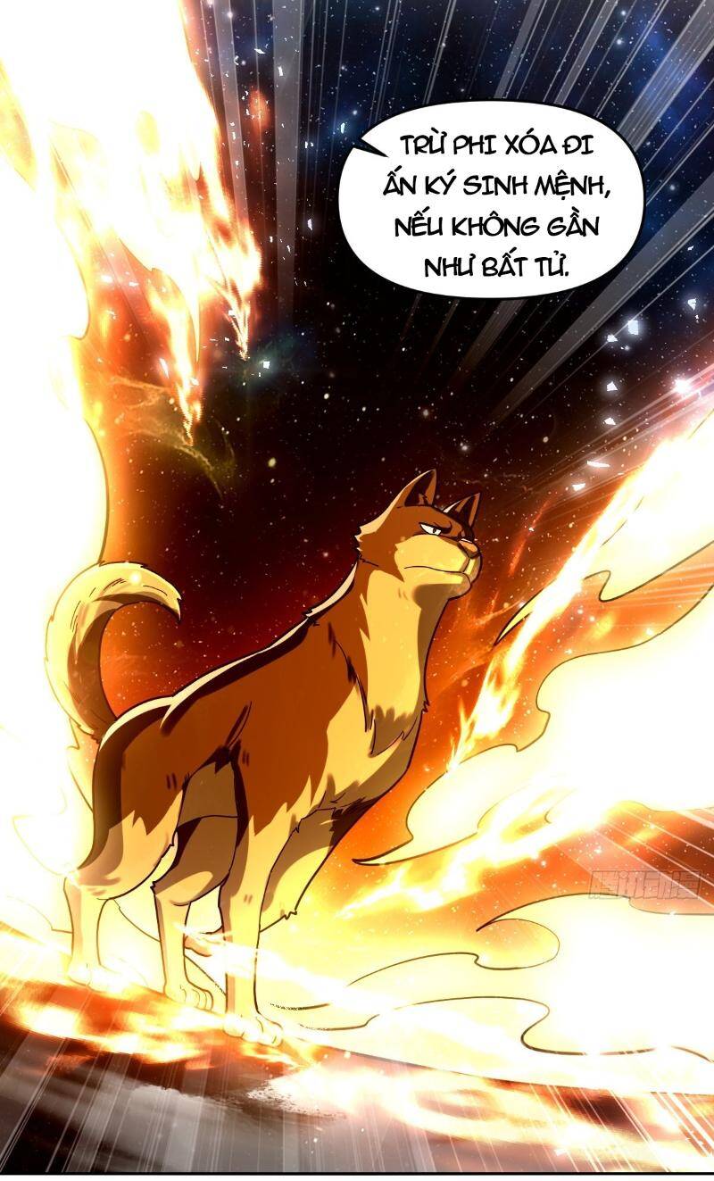 Nguyên Lai Ta Là Tu Tiên Đại Lão Chap 430 - Next Chap 431
