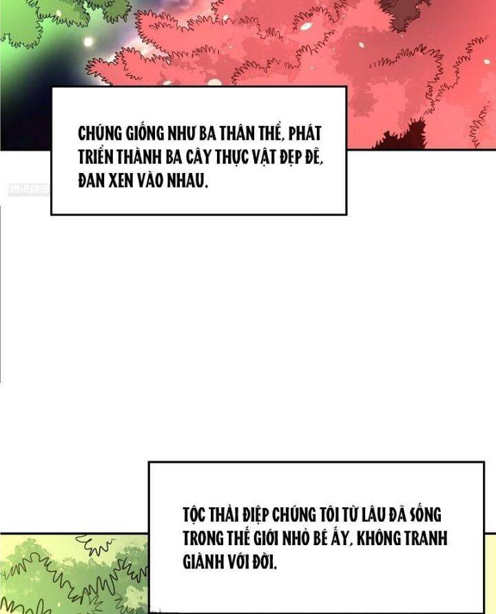 Nguyên Lai Ta Là Tu Tiên Đại Lão Chap 494 - Next Chap 495