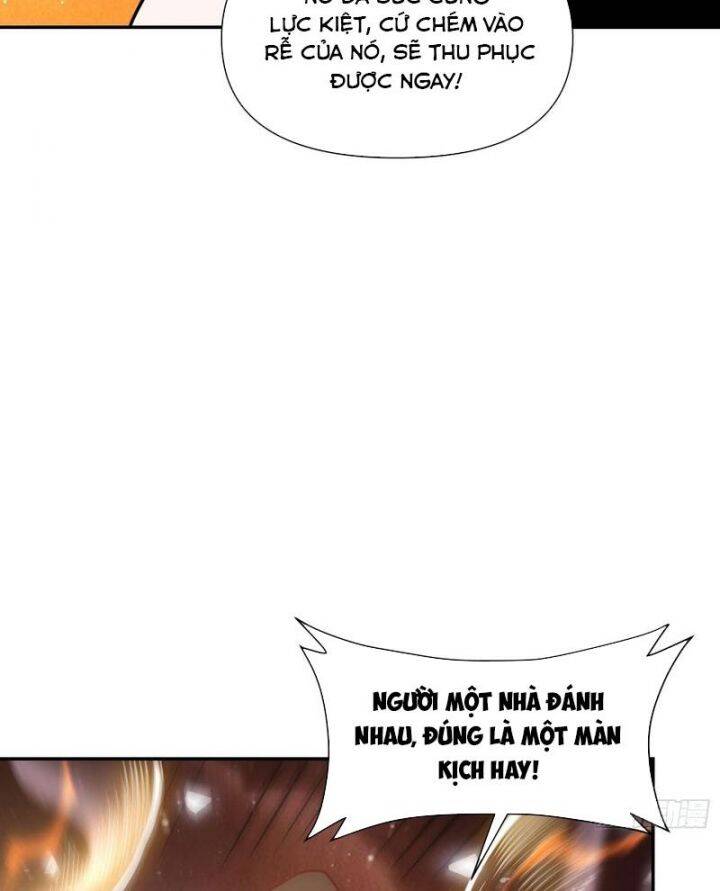 Nguyên Lai Ta Là Tu Tiên Đại Lão Chap 495 - Next Chap 496