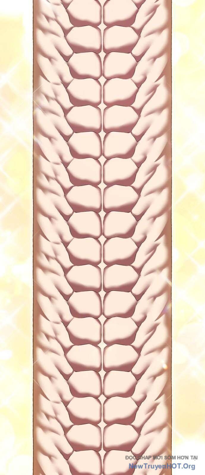 Gậy Gỗ Cấp 99+ Chap 129 - Next Chap 130