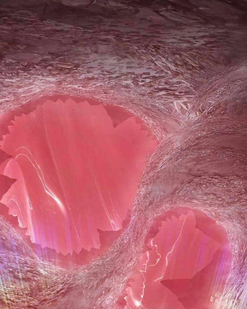 Gậy Gỗ Cấp 99+ Chap 82 - Next Chap 83