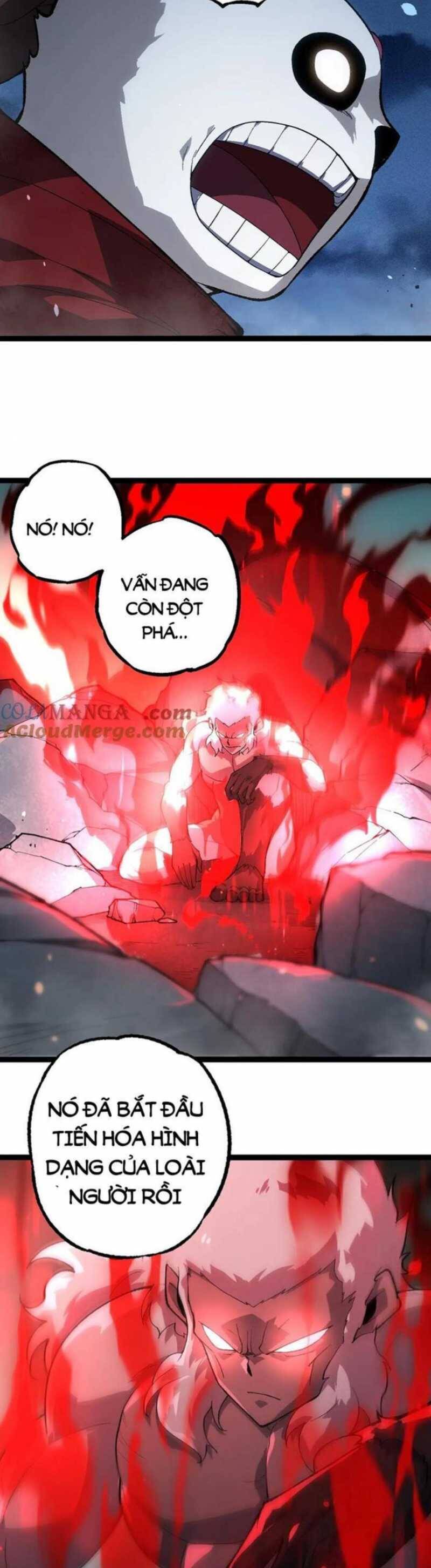Chuyển Sinh Thành Liễu Đột Biến Chap 247 - Next Chap 248