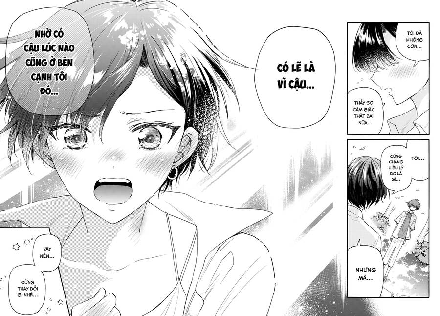 Ba Chị Em Nhà Mikadono Dễ Đối Phó Thật Đấy Chap 101 - Next Chap 102