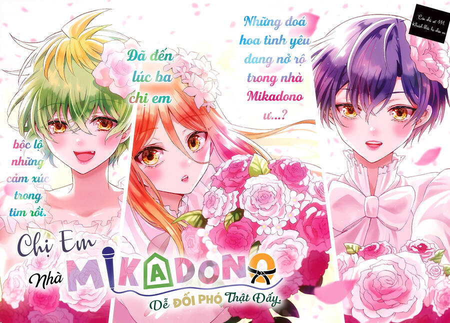 Ba Chị Em Nhà Mikadono Dễ Đối Phó Thật Đấy Chap 111 - Next Chap 112