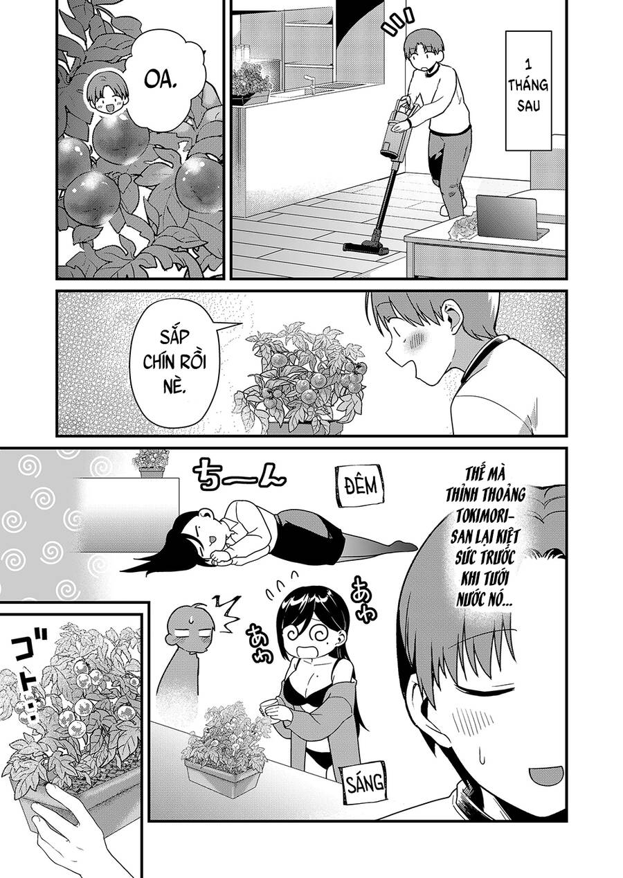 Tokimori-San Chẳng Chút Phòng Bị!! Chap 40 - Next Chap 41