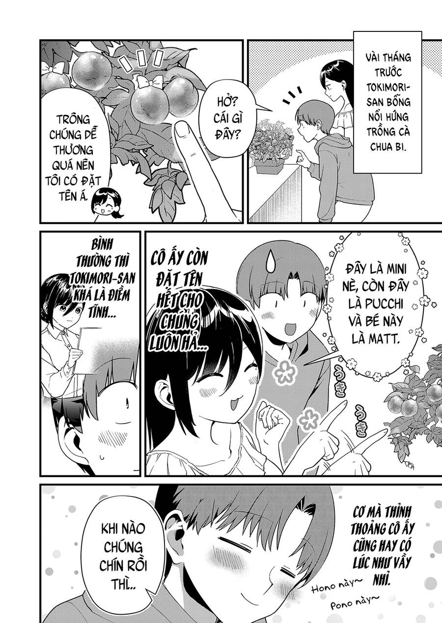 Tokimori-San Chẳng Chút Phòng Bị!! Chap 40 - Next Chap 41