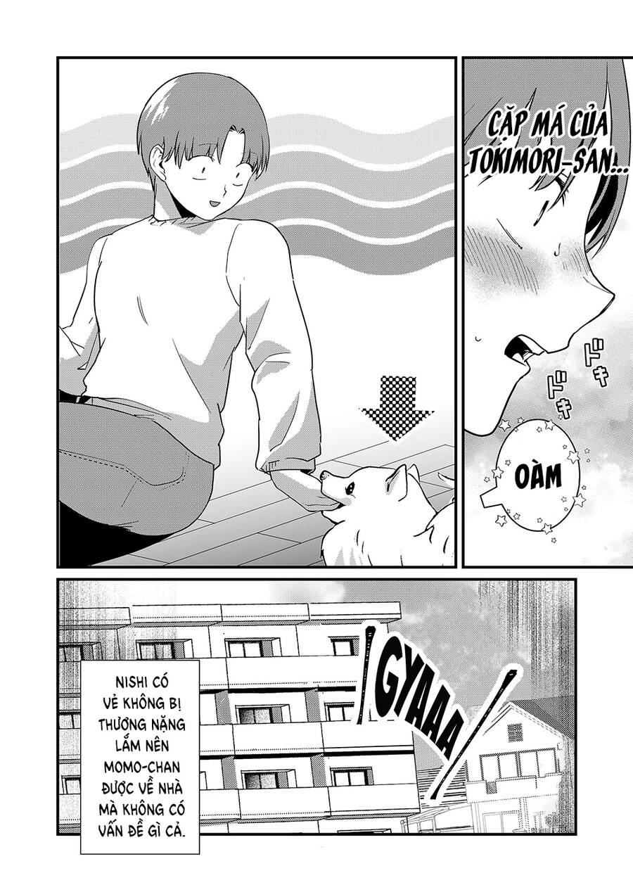 Tokimori-San Chẳng Chút Phòng Bị!! Chap 26 - Next Chap 27