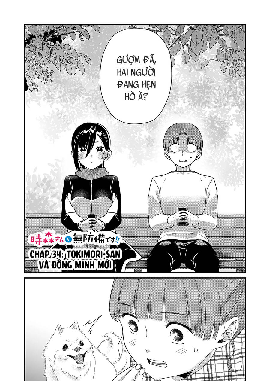 Tokimori-San Chẳng Chút Phòng Bị!! Chap 34 - Next Chap 35