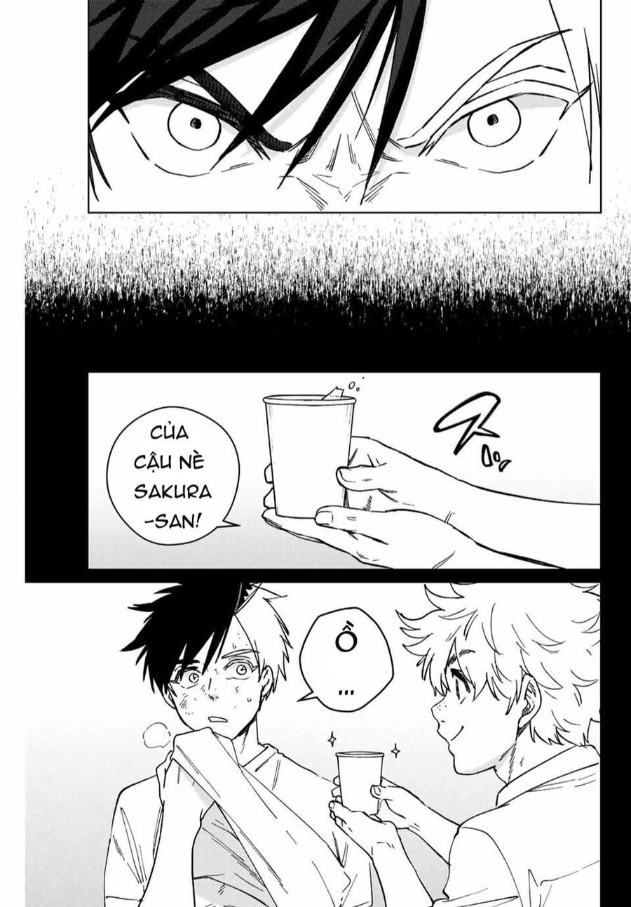 Wind Breaker (Nii Satoru) Chap 108 - Next Chap 109
