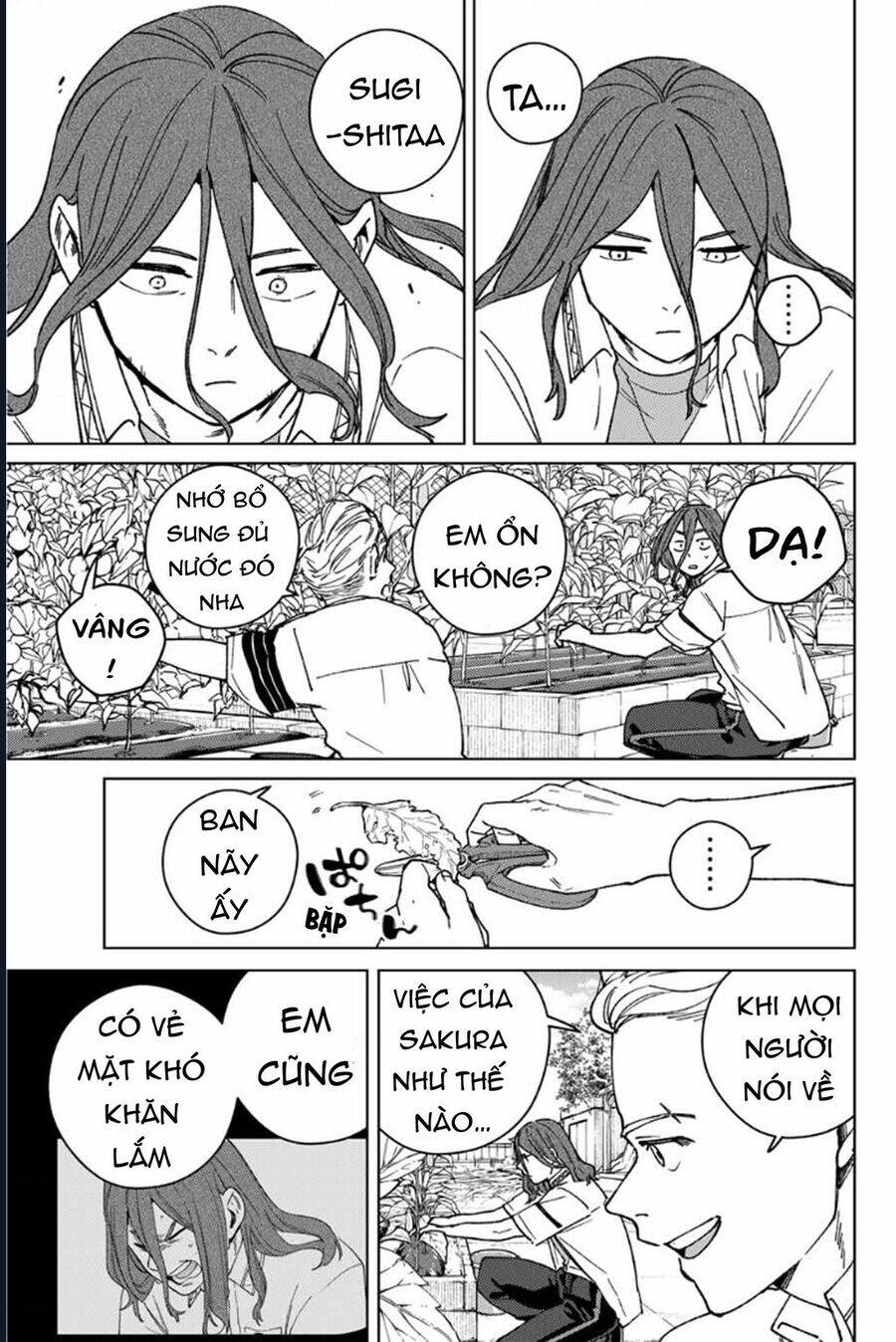 Wind Breaker (Nii Satoru) Chap 165 - Next Chap 166