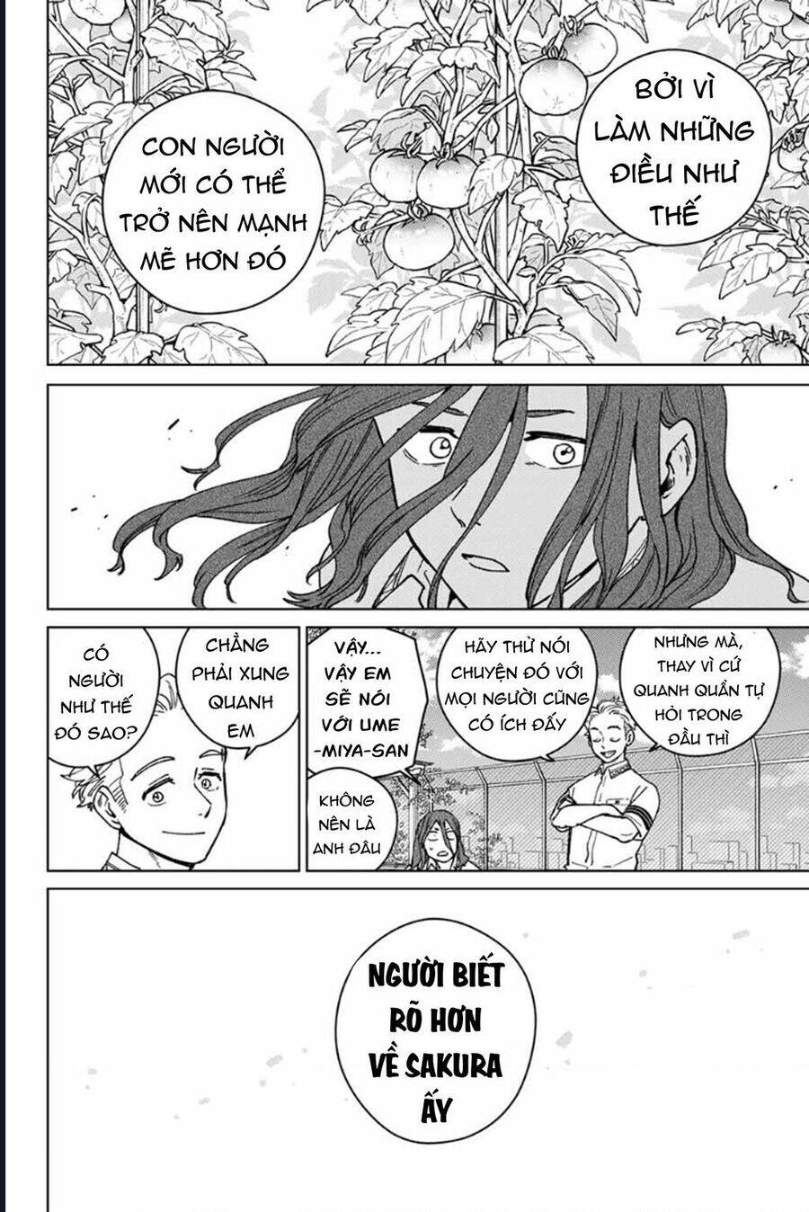 Wind Breaker (Nii Satoru) Chap 165 - Next Chap 166